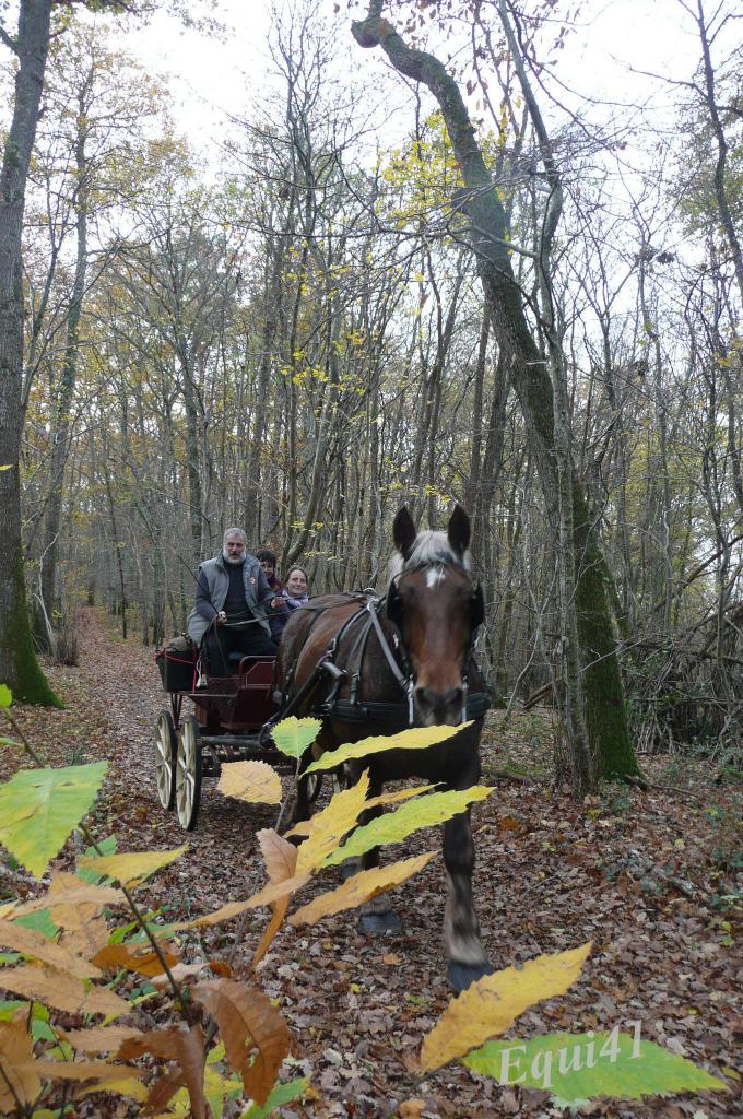 Autour de Chambon sur Cisse !