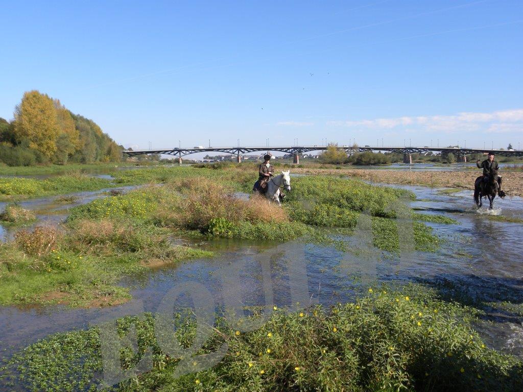 La Loire