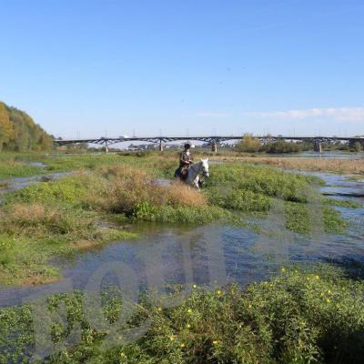 La Loire