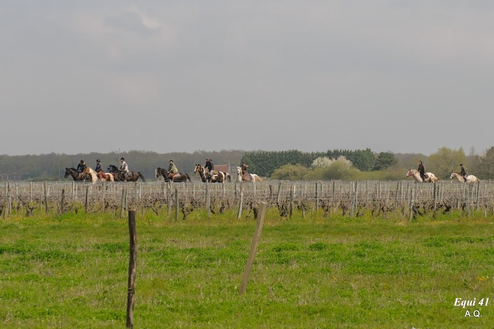 Randonnée terroir de Cisse
