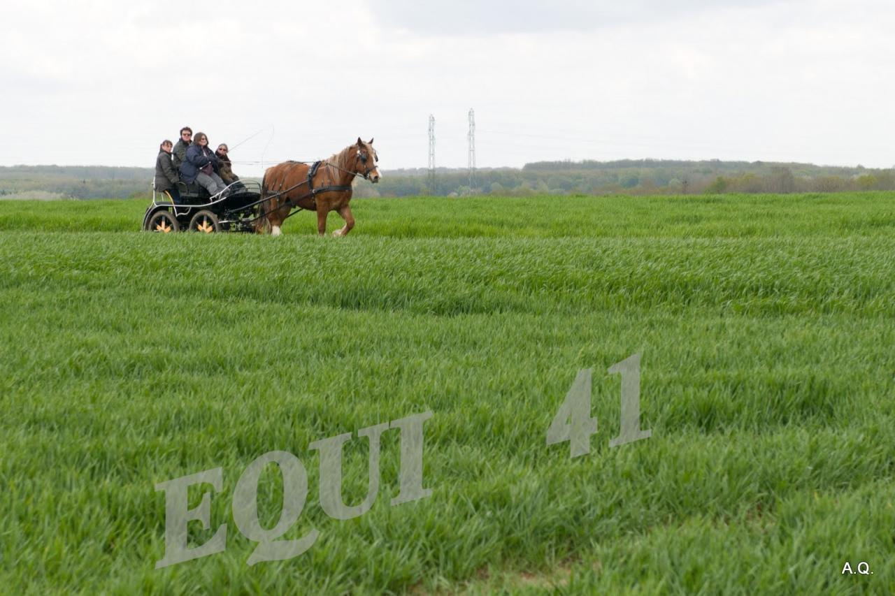 Randonnée Terroir de Cisse 2012