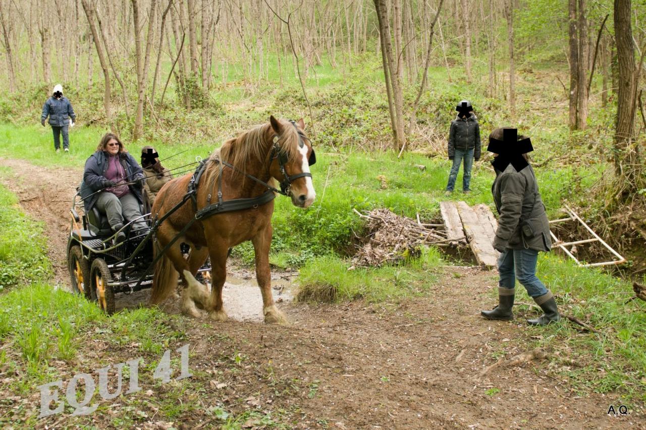 Randonnée Terroir de Cisse 2012