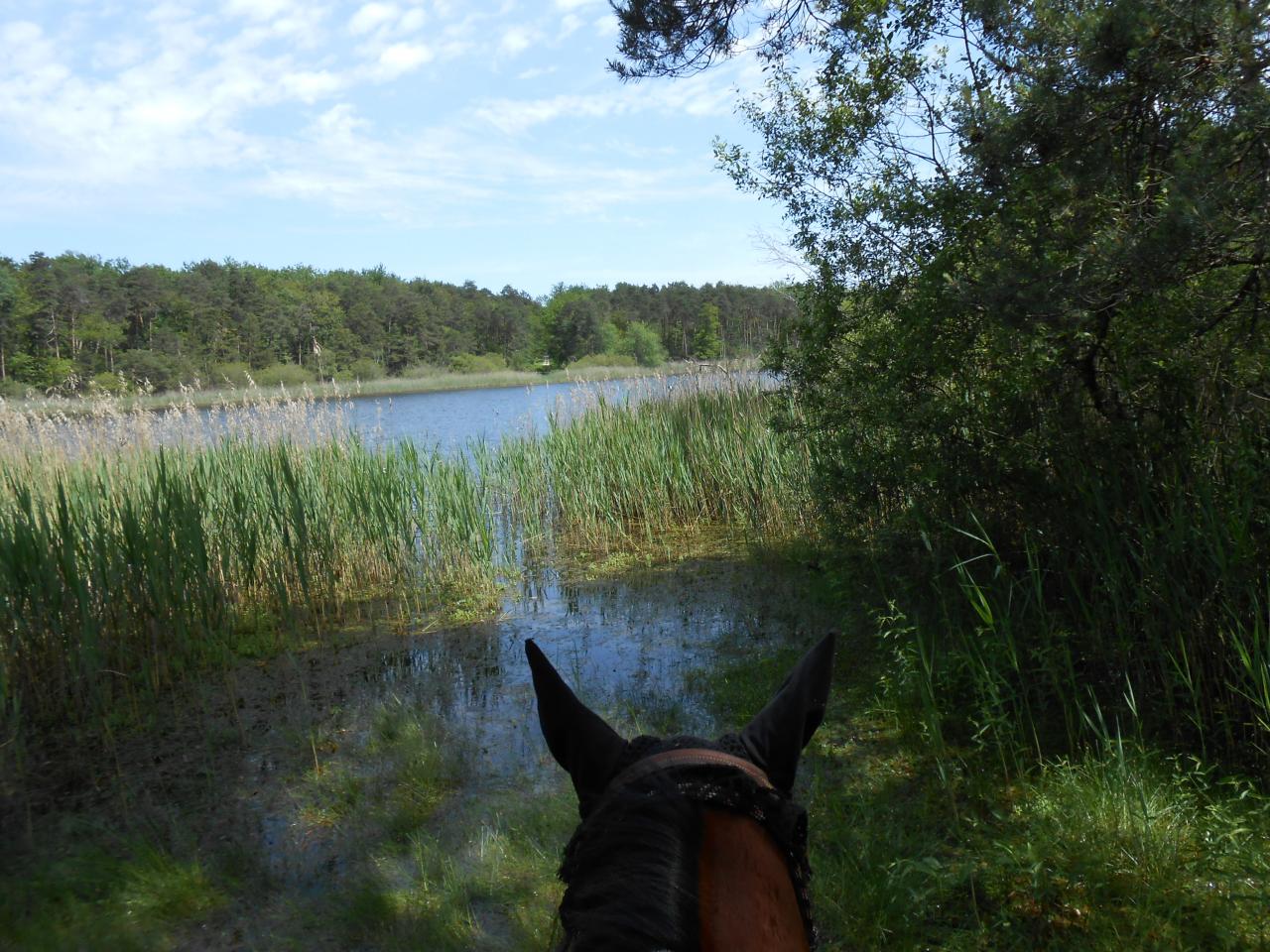 Voyage en Loir-et-Cher.