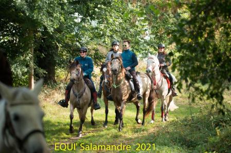 EquiSalamandre 2021, Île de la Folie