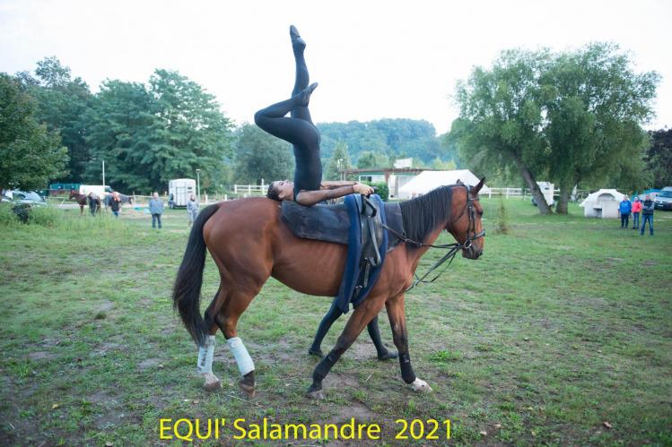EquiSalamandre 2021, voltige